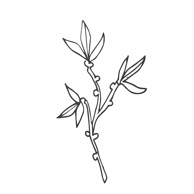 Hand drawn doodle flowers. Simple minimalist flower sketch