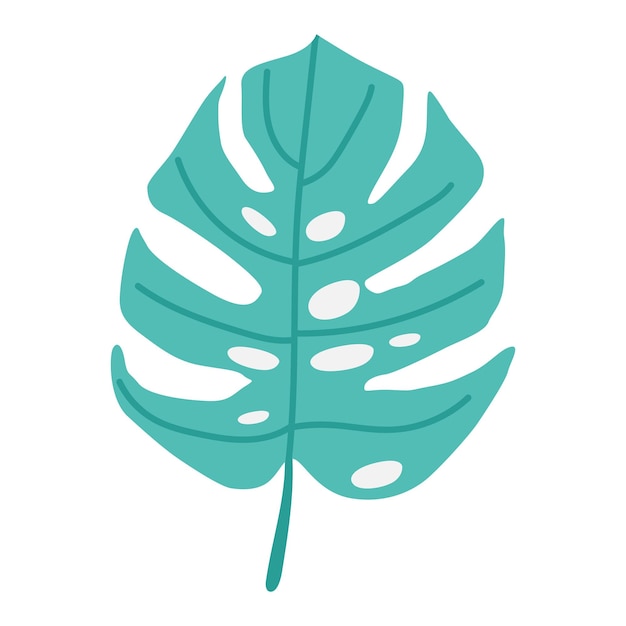 Hand drawn doodle monstera tropical leaf icon on white background. Vector illustration.