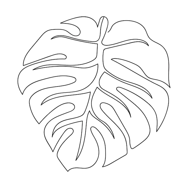 Hand drawn doodle monstera tropical leaf icon on white background. Vector illustration.