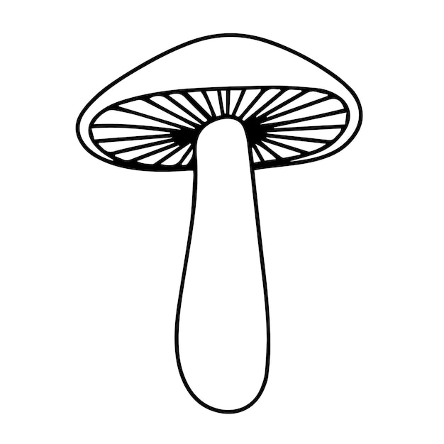 Hand drawn doodle mushroom Icon outline mushroom isolated on white background Vector illustration