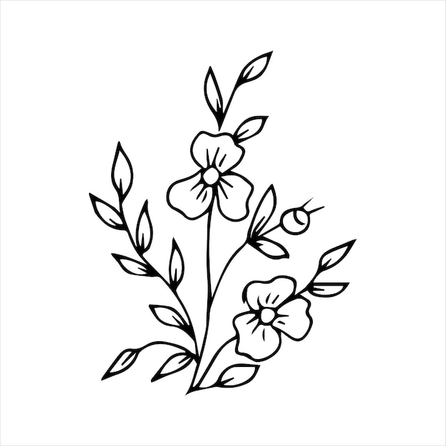 Hand drawn doodle plant element for floral design concept