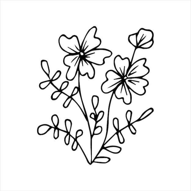 Hand drawn doodle plant element for floral design concept