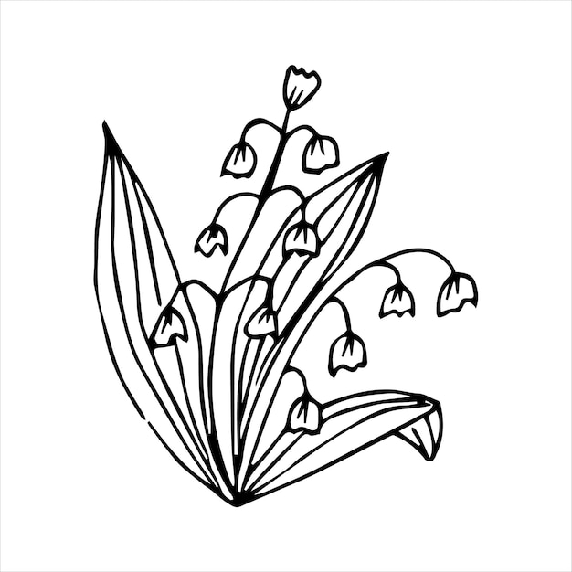 Hand drawn doodle plant element for floral design concept