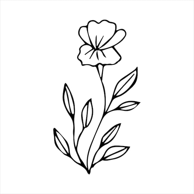 Hand drawn doodle plant element for floral design concept