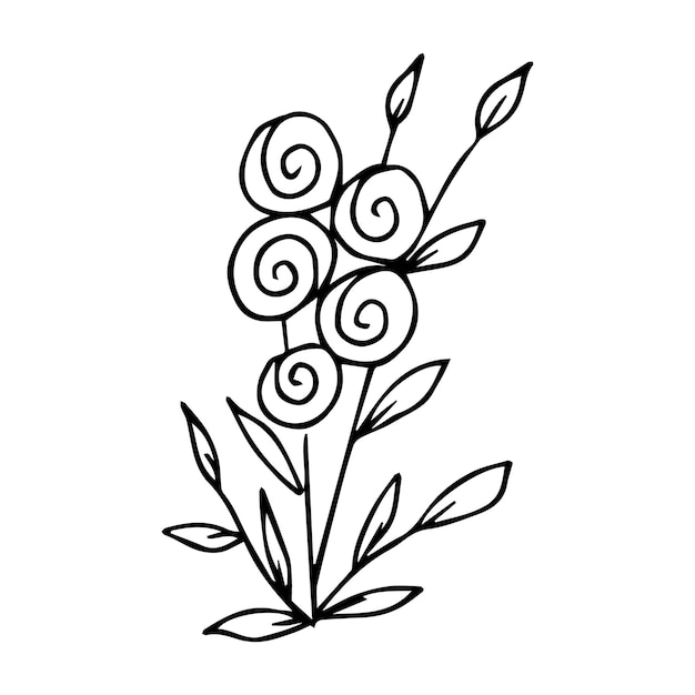 Hand drawn doodle plant element for floral design concept