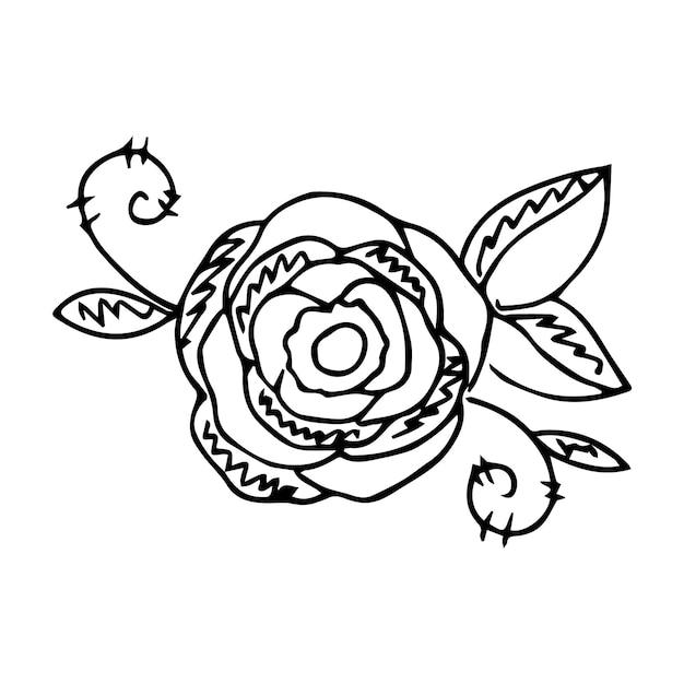 Hand drawn doodle plant element for floral design concept