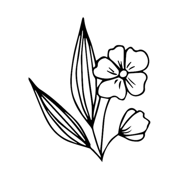 Hand drawn doodle plant element for floral design concept