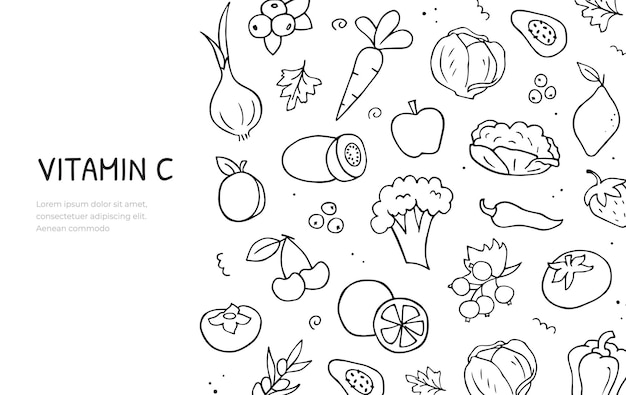 Hand drawn doodle set of vitamin C sources theme Horizontal banner template Natural food Vector black and white outline