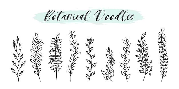 Hand drawn doodle vector botanical and floral elements set line style. Natural sketch plant branches, leaves, berries for social media design, badges, labels, branding.