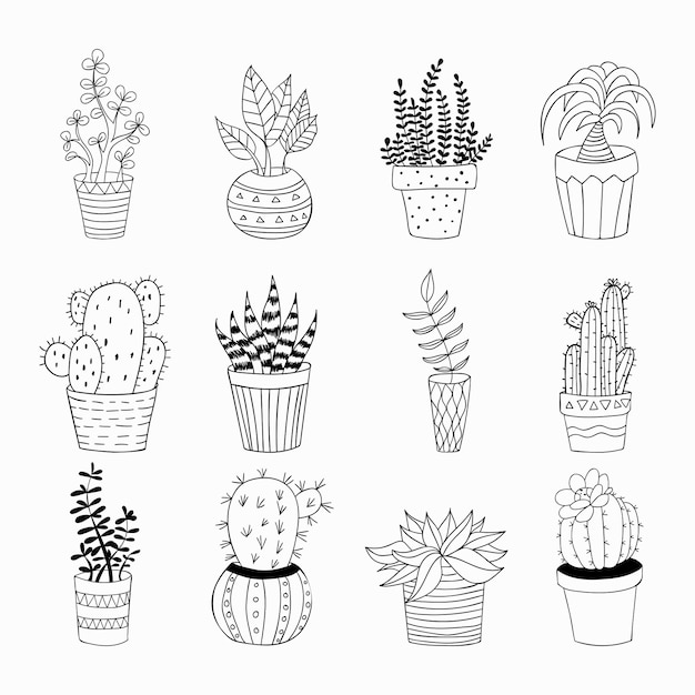 Hand drawn doodles plants