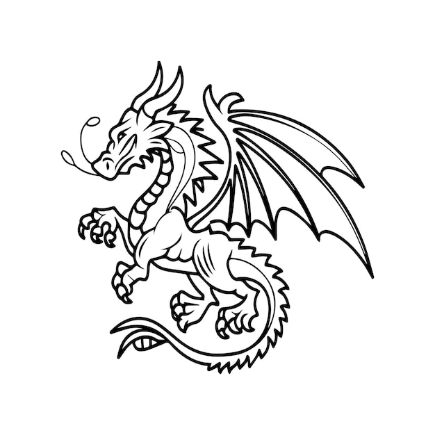 Hand drawn dragon outline illustration