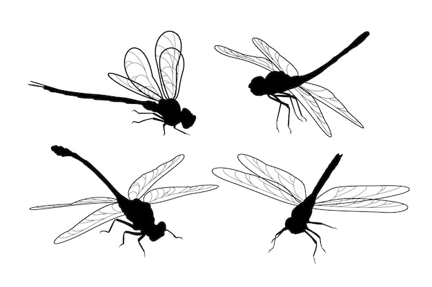 Hand drawn dragonfly silhouette collection