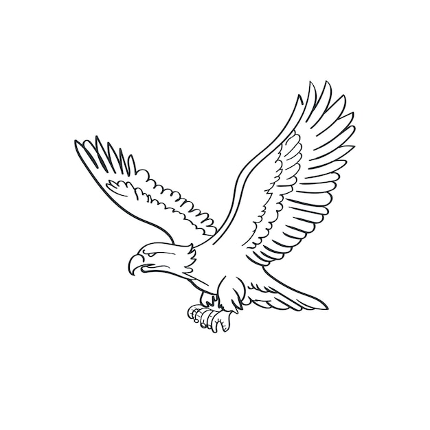 hand drawn eagle flying vector illustration