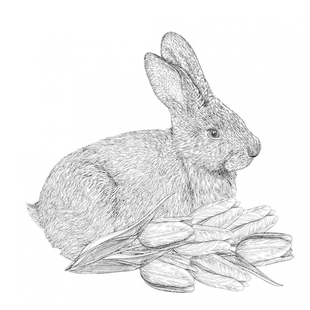 Hand drawn Easter rabbit with tulips. Sketch engraving bunny, realistic rabbit, symbol of Easter and spring.