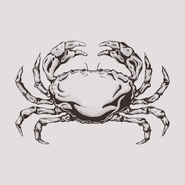 Hand drawn engraving style crab illustration