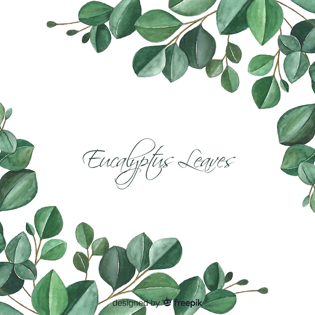 Hand drawn eucalyptus leaves background