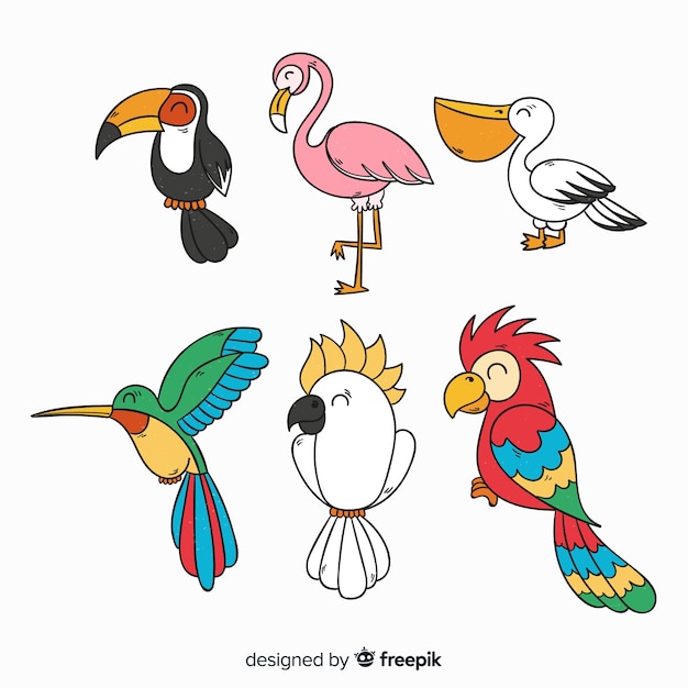 Hand drawn exotic bird collection