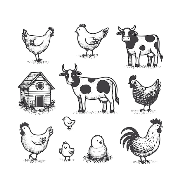 Vector hand drawn farm animals illustrations