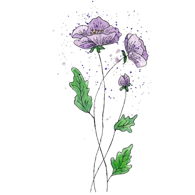 Hand drawn field flower Isolated on white background Pearl watercolor liner and paint splatter