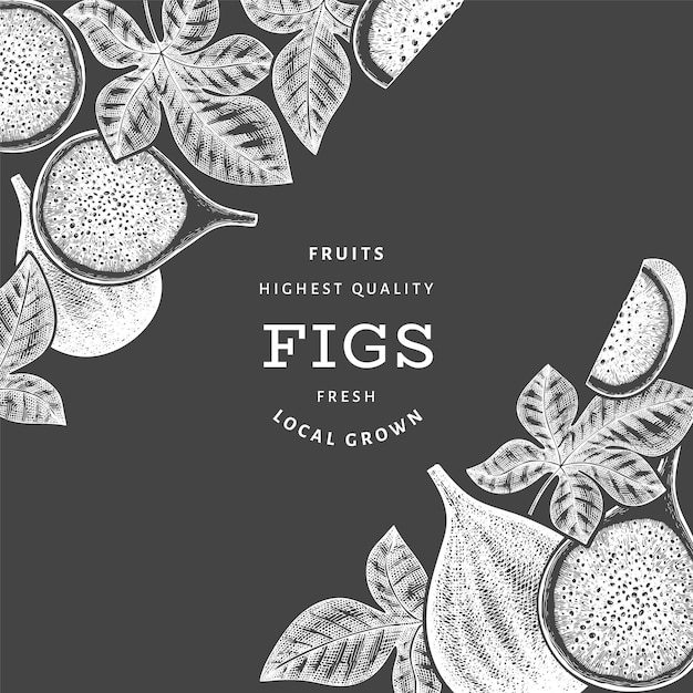 Hand drawn fig fruits design template. Organic fresh food vector illustration on chalk board. Retro fig fruit banner.