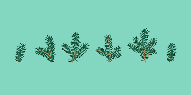 Hand Drawn Fir Tree Branches Isolated on Background Various Green Pine Trees Parts Collection