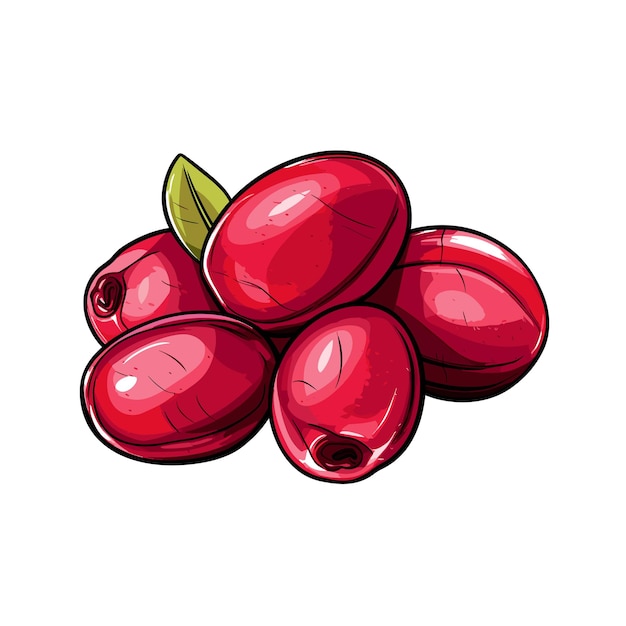 Hand Drawn Flat Color Cranberry Fruit Illustration