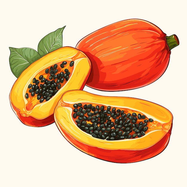 Hand Drawn Flat Color Papaya Fruit Illustration