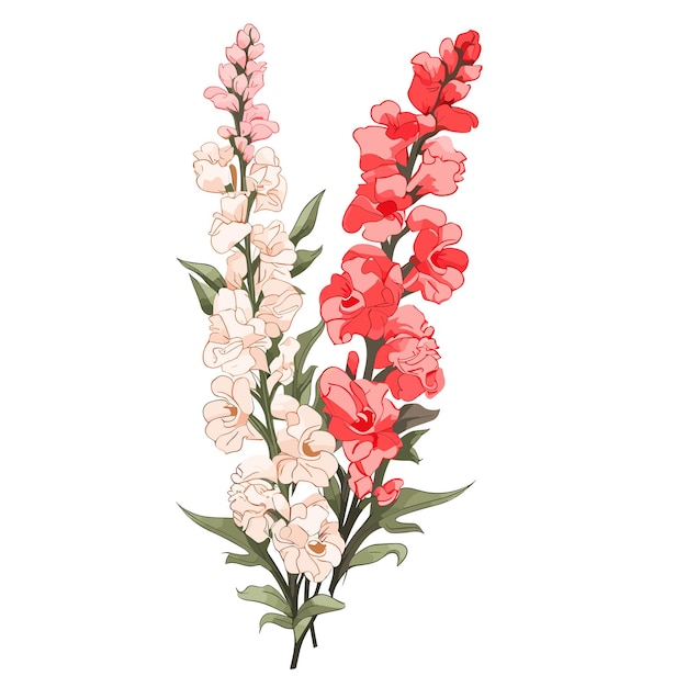 Hand Drawn Flat Color Snapdragon Flower Illustration