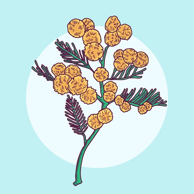 Hand drawn flat design mimosa illustration