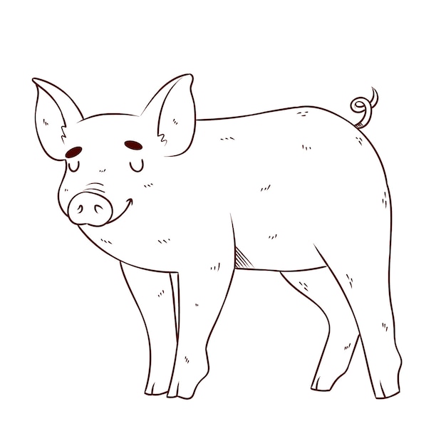 Hand drawn flat design pig outline