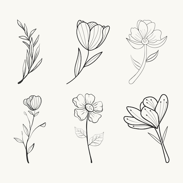 Vector hand drawn flat design simple flower outline