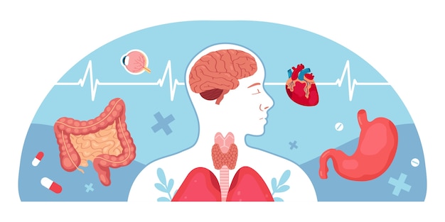 Hand drawn flat human body composition with anatomical organs and medical elements