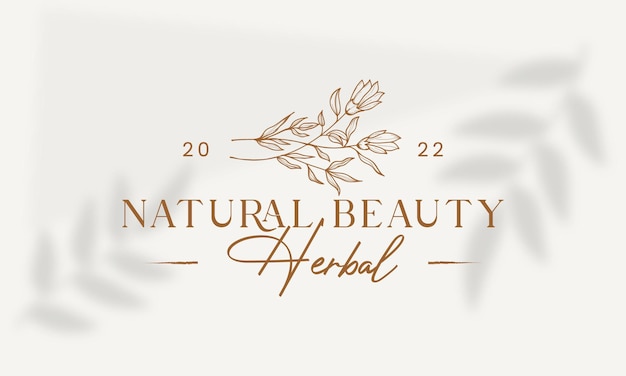 Hand drawn floral botanical feminine logo collection for beauty, natural, organic Premium vector