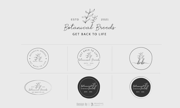 Hand drawn floral botanical logo bundle illustration collection for beauty, natural, Premium vector