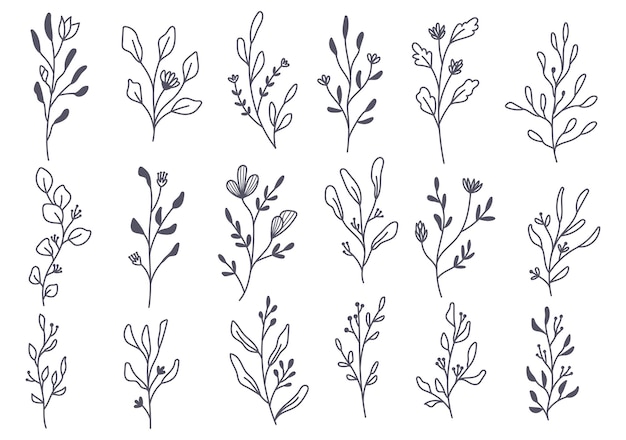 Hand drawn floral branches doodle