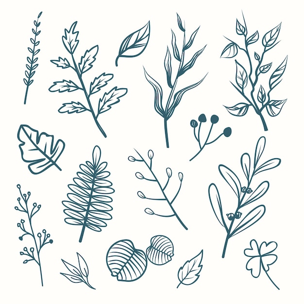 Hand drawn floral collection vector