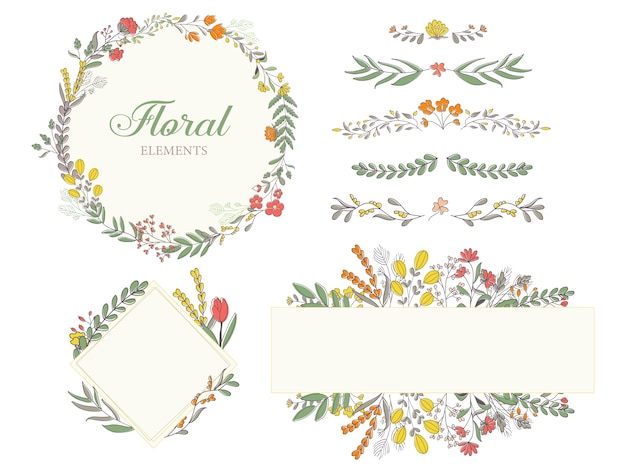 Hand drawn floral decoration elements, illustrations, frame, dividers collection.