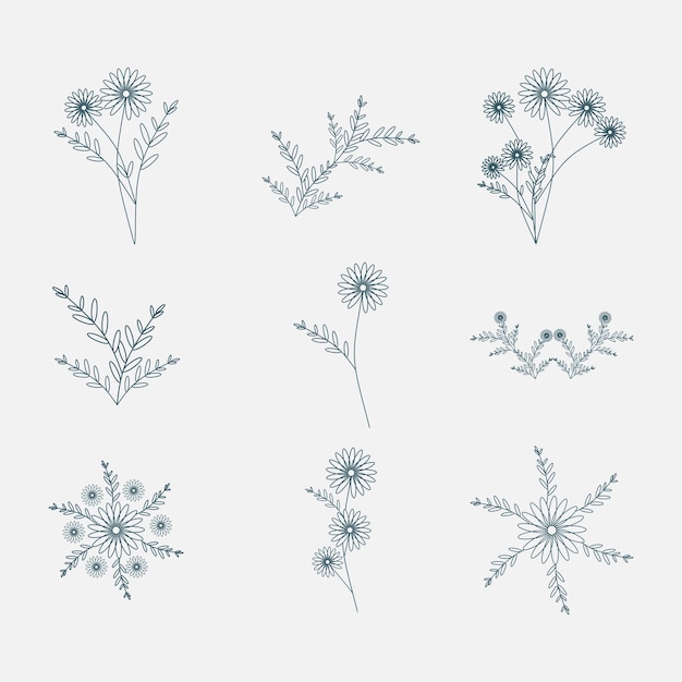 Hand drawn floral decorative elements