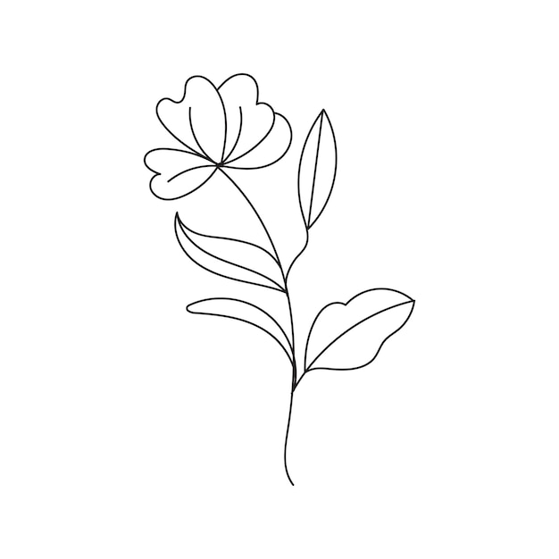 Hand drawn floral decorative elements