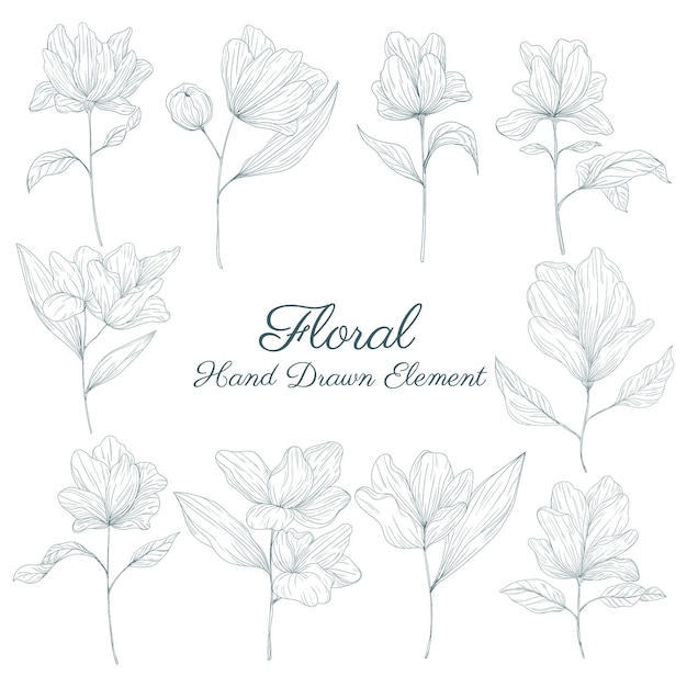 hand drawn floral elements collections