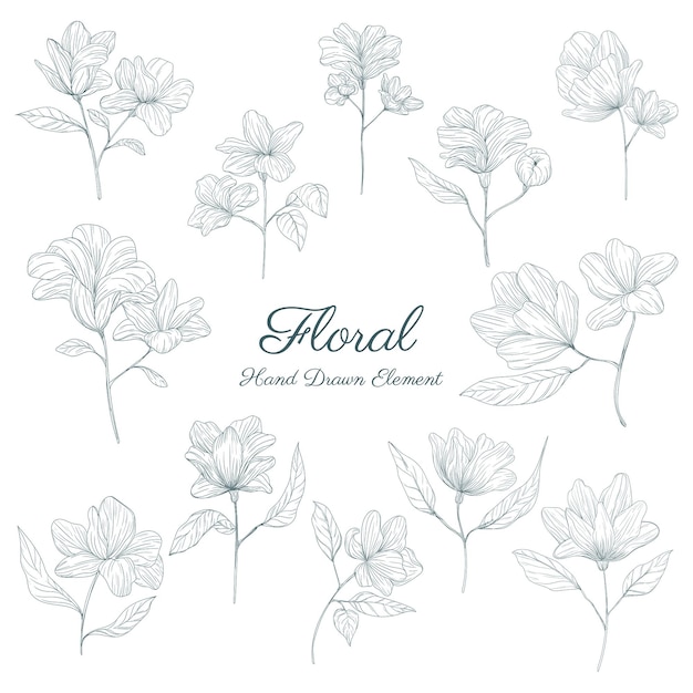 hand drawn floral elements collections