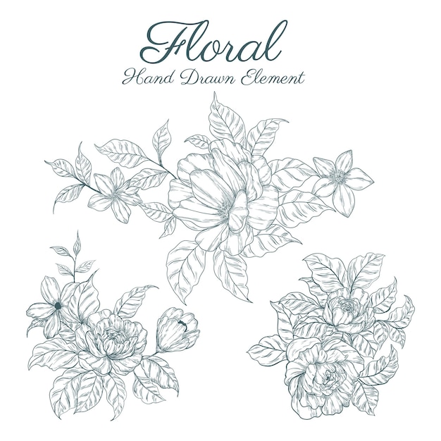 hand drawn floral elements collections