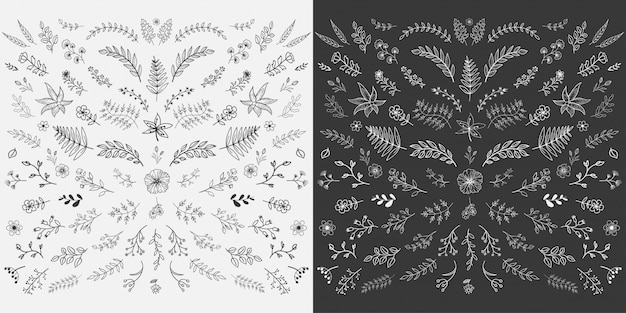 Hand Drawn Floral Elements Design