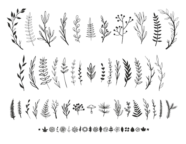 Hand drawn floral elements isolated on white Vector flowers leaves herbs and plants