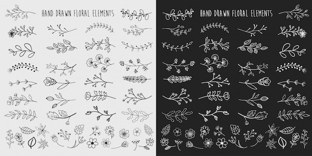 Hand Drawn Floral Elements