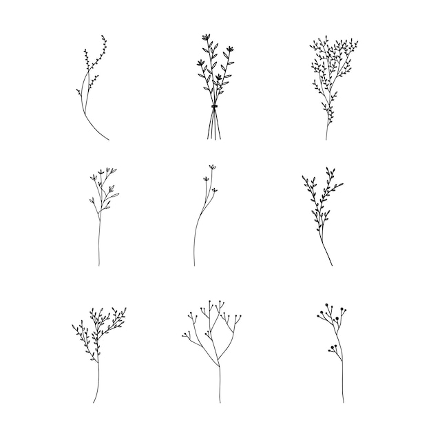 Hand drawn floral ornaments decorative elements