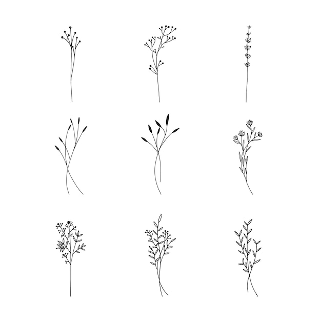 Hand drawn floral ornaments decorative elements