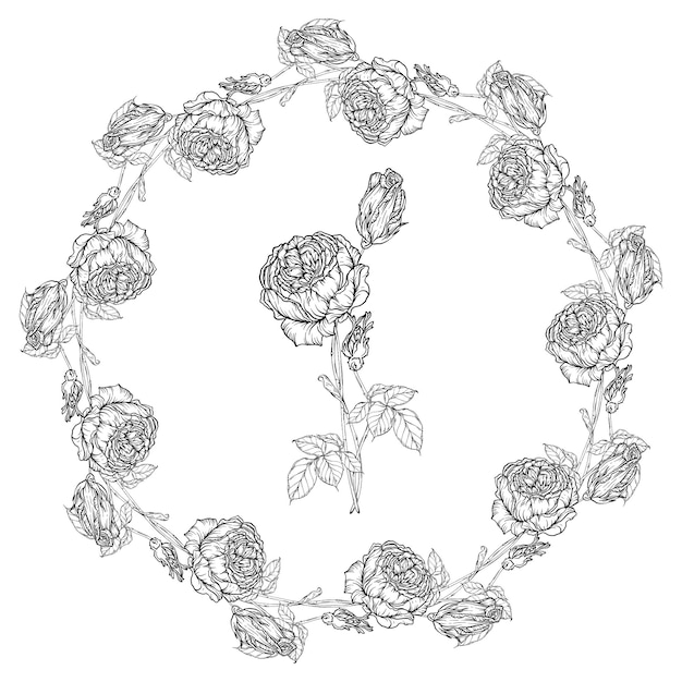 Hand-drawn floral set, Rose Collection, Flower Wreath.