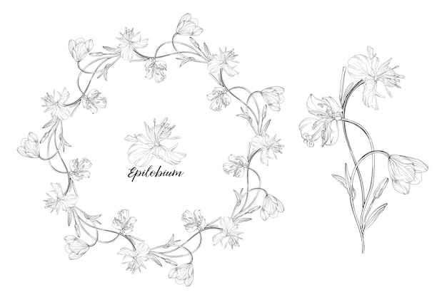 Hand drawn floral wreath and flower illustration