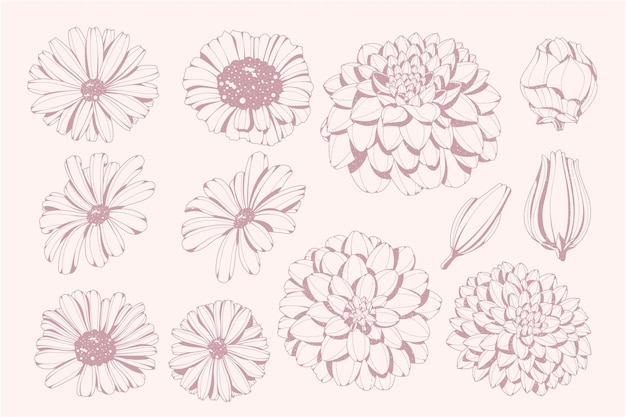 hand drawn flower collection 6